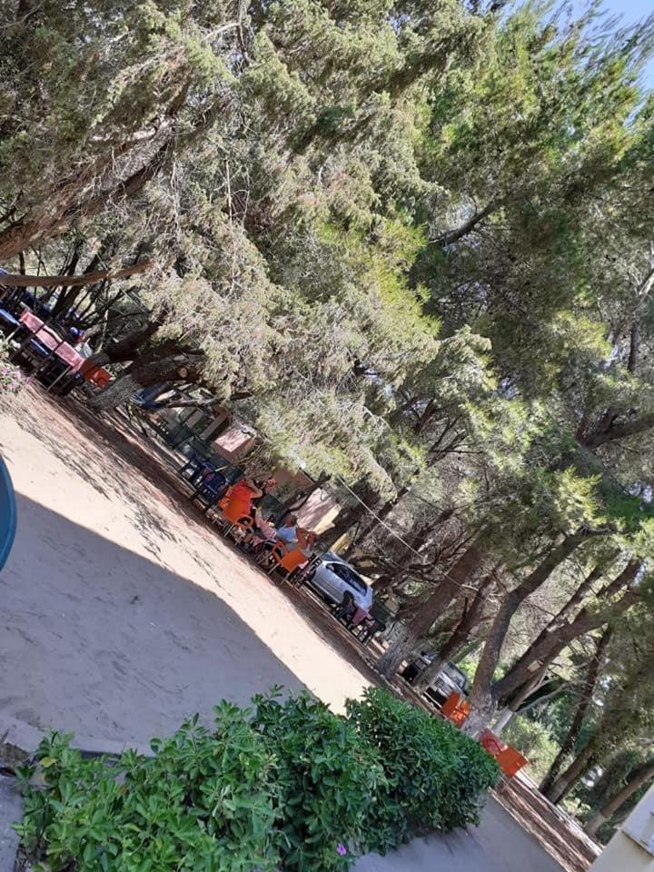 Divjaka Park Zewnętrze zdjęcie